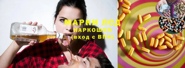 PSILOCYBIN Майский