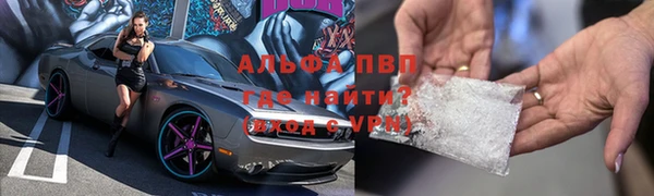 PSILOCYBIN Майский