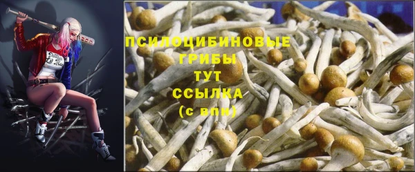 эйфоретик Магадан