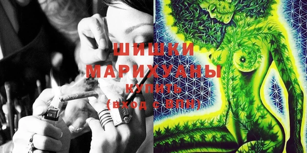 PSILOCYBIN Майский